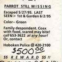 Sign: Parrot Still Missing, Hoboken, June, 1995.
