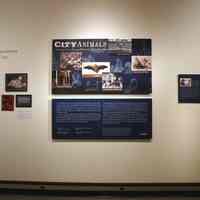 Digital images, 227, of exhibit, City Animals, at HHM, 2004.