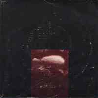          back cover [Tim Daly work]
   