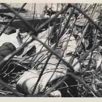 B+W photo of trash behind fence belonging to Diamond Reo of Hudson County, 8th & Madison Sts., Hoboken, no date, ca. 1970-1980.