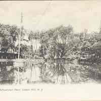 Postcard: Schuetzen Park, Union Hill, NJ