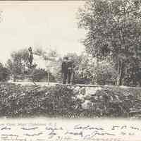 Postcard: West Hoboken Park, West Hoboken, NJ