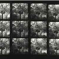 B+W negative contact sheet of images of Hoboken taken by John Conn. no date, [1976].