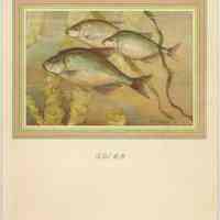          Menu 1: front cover, 