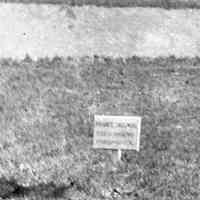          detail sign, lower left: Private Grounds, Trespassing Forbidden
   