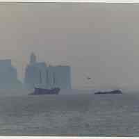          03 Watertree on Hudson River with tugboat heading to Hoboken
   