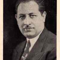          detail Tamarin photo adjusted
   