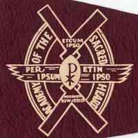          detail right: insignia
   