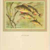          Menu 2: front cover; artwork 