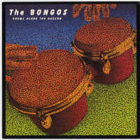          Record: The Bongos. Drums Along the Hudson. Fetish Records, Ltd., 1982. PVC 8909. picture number 6
   