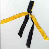          ribbon tie
   