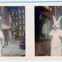 Color photo of a person in a bunny costume standing in Willow Terrace, Hobokken, no date, ca. 1970.