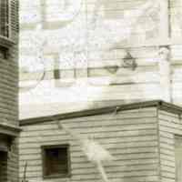          detail of signs
   
