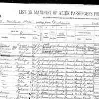          Nilsen, line 1, steerage manifest, arrival Nov. 10, 1914 pg 1 of 2
   