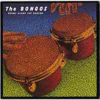 Record: The Bongos. Drums Along the Hudson. Fetish Records, Ltd., 1982. PVC 8909.