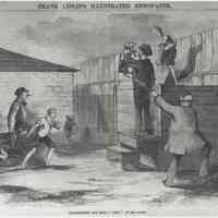 Photographic b+w reproduction: Slaughtering the Dogs - "Andy" in his glory. Published wood-engraving in Frank Leslie