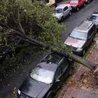 Color photos, 4, taken after Hurricane Sandy by Bill Curran of Hoboken 2012; & 4 photos of paintings done by Curran re disaster.