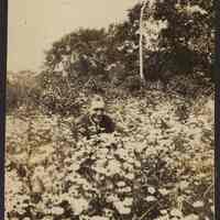          Digital image of photo of , no place, no date, circa late 1910-1920. picture number 2
   