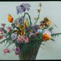 Lantern slide, color, of a floral arrangement in basket, used for promotional display in Hoboken, no date, ca. 1920.