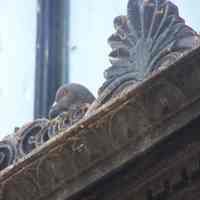          24: detail of relief ornament above lower windows, First St. side
   