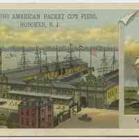 Card, trade: Hamburg American Packet Co