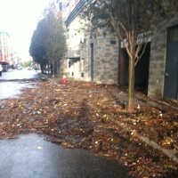          Color photos, 7, taken after Hurricane Sandy by Laura Sannitti, Hoboken, Oct.30, 2012. picture number 8
   