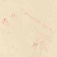          detail reverse- ink stamp
   