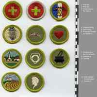          group 3: 11 boy scouts merit badges, front view - finished edges
   