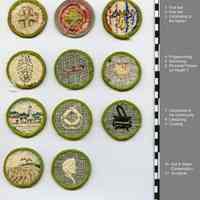          group 3: 11 boy scouts merit badges, back view - finished edges
   