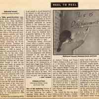          Article 3: review Delivered Vacant Village Voice June 1993
   