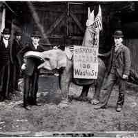 Sepia tone photo of baby elephant bearing advertising for Bishop