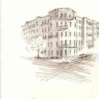          Plate 6: Yellow Flat (12th and Washington St.)
   