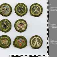          group 4: 8 boy scout merit badges, back  view; turned edges
   