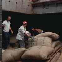 Image: unmounted 35mm color transparency of 3 longshoremen unloading sacks of coffee in a cargo hold, Hoboken, no date, ca. 1979.