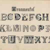          Plate 23, Ornamental
   