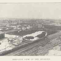 Printed B+W photograph of a Bird