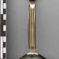          bottom view
   