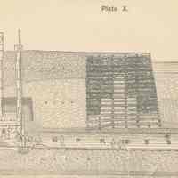          Plate 10 detail center
   