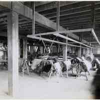          10 Hoboken interior, leather processing room
   