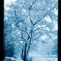 Color slide of a snowy street.