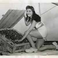 B+W photo of Myra Halseth of Hoboken posed with 1st tulip bulbs arriving from Holland on S.S. Westerdam, Hoboken, Aug. 4, 1947.