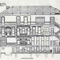          longitudinal section
   