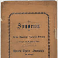          Program: Souvenir. Erste Daemlich Carnveval-Sitzung; Dec. 11, 1904; Odd Fellows Hall, 412-414 Washington St. picture number 23
   