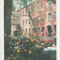 Gallagher Postcard: #5. 11th St. [Hoboken] between Garden St. & Park Ave. Photo by Brian Gallagher.