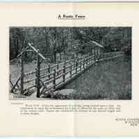          pg [9] Plate VIII; A Rustic Fence
   