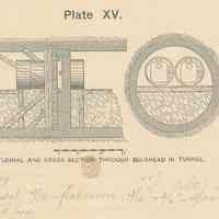          Plate 15 detail 1 of 2
   