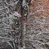 Color photos, 158, of snow scenes, night & following day, Hoboken, Feb. 2014.