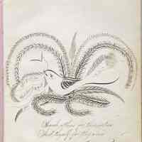          82 1881 Otto Frickel
   