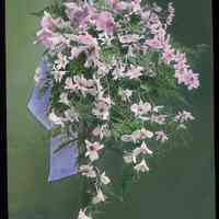 Lantern slide, color, of a floral arrangement, used for promotional display in Hoboken, no date, ca. 1920.