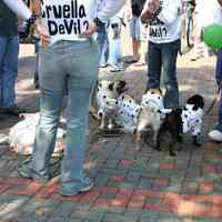 Digital color image of the 2004 Hoboken Pet Parade, along the Hoboken Waterfront, Sunday, September 26, 2004.